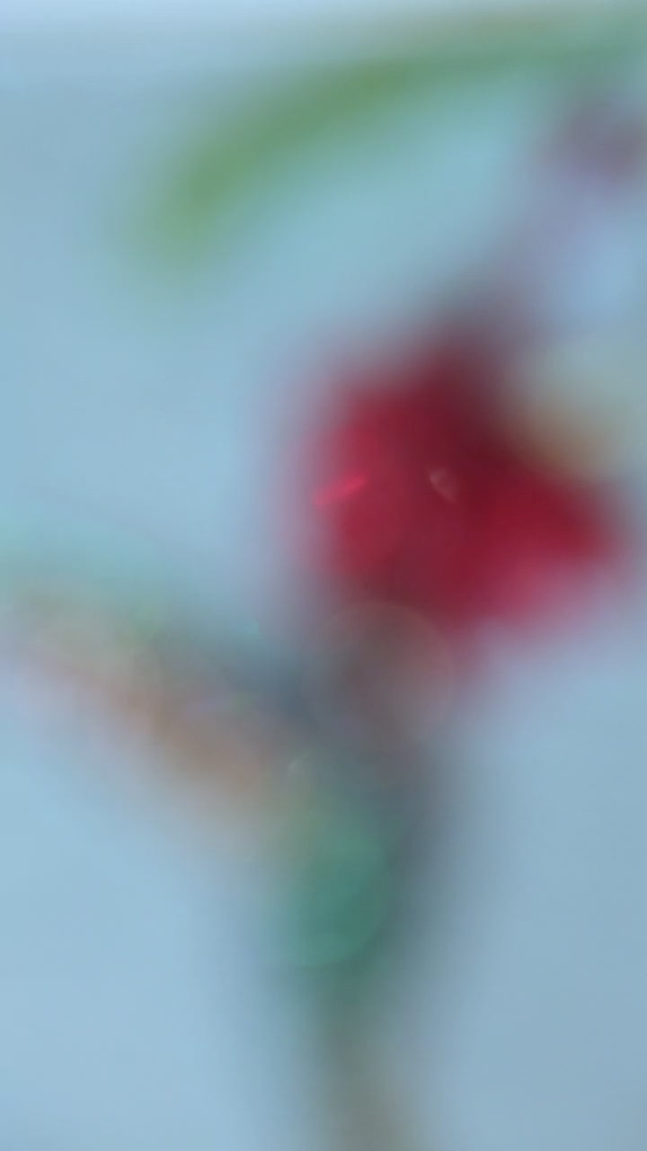 Hummingbird | Handmade 3D Art | Jewelry painting