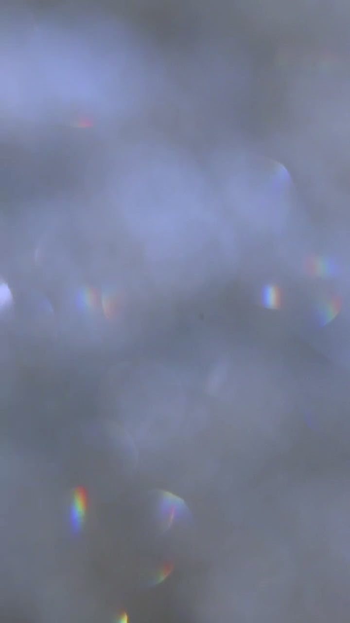 Swan | Handmade 3D Art | Jewelry painting