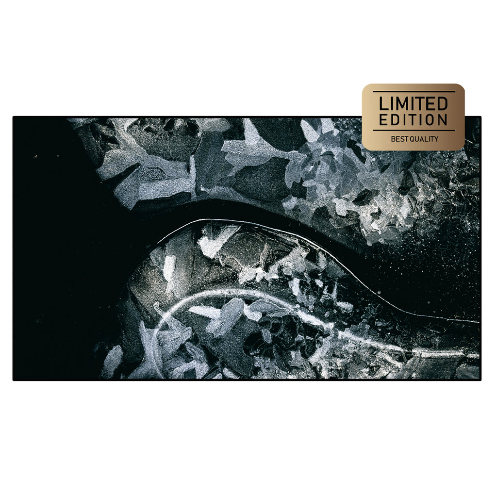 Splendour Charcoal | Printed Canvas Art