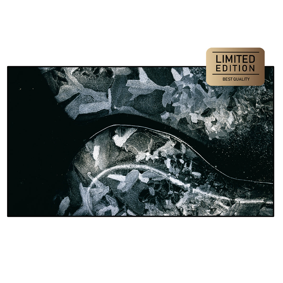 Splendour Charcoal | Printed Canvas Art