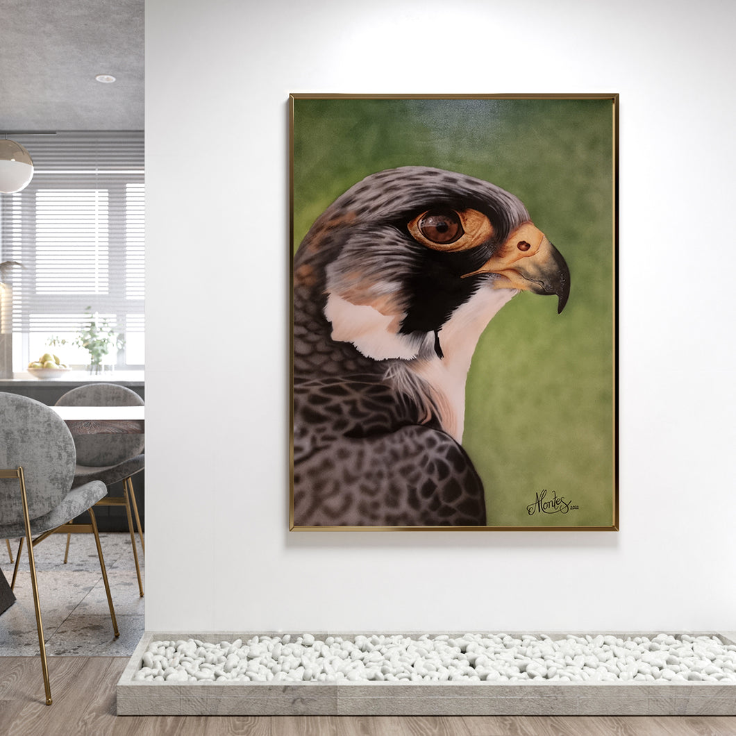 Falcon | Handmade Canvas Painting