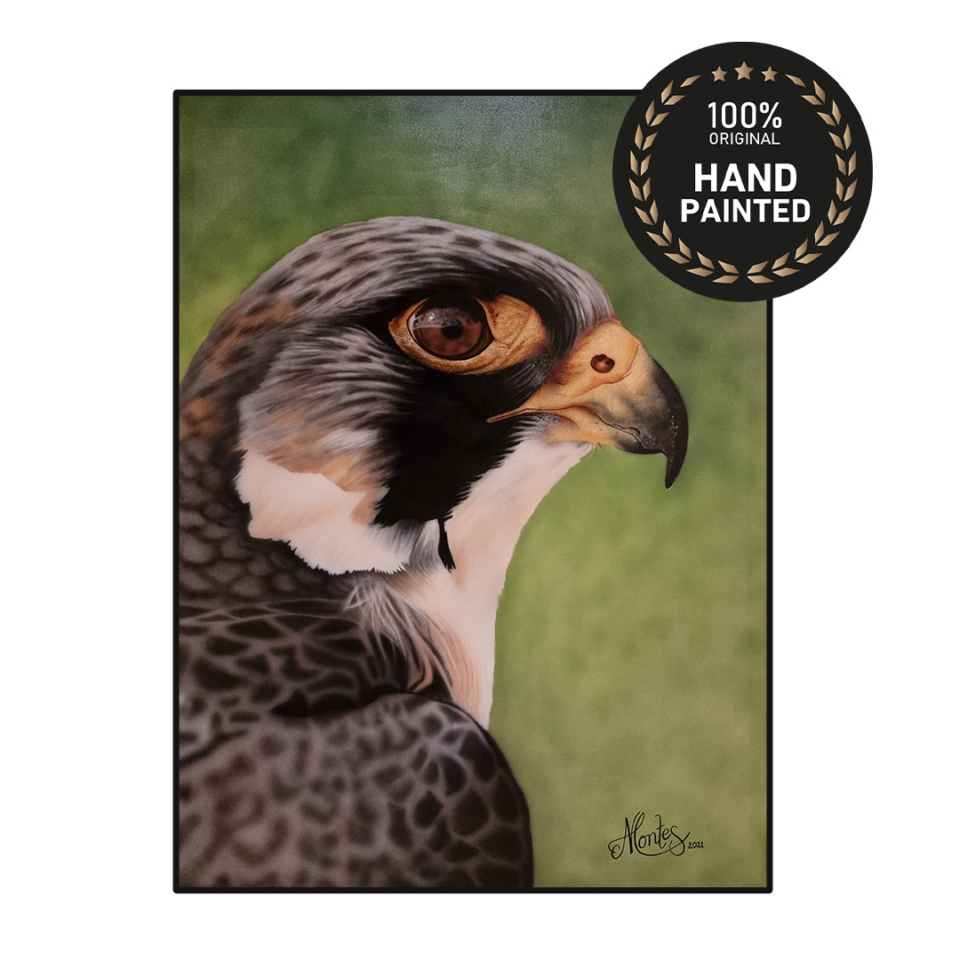 Falcon | Handmade Canvas Painting