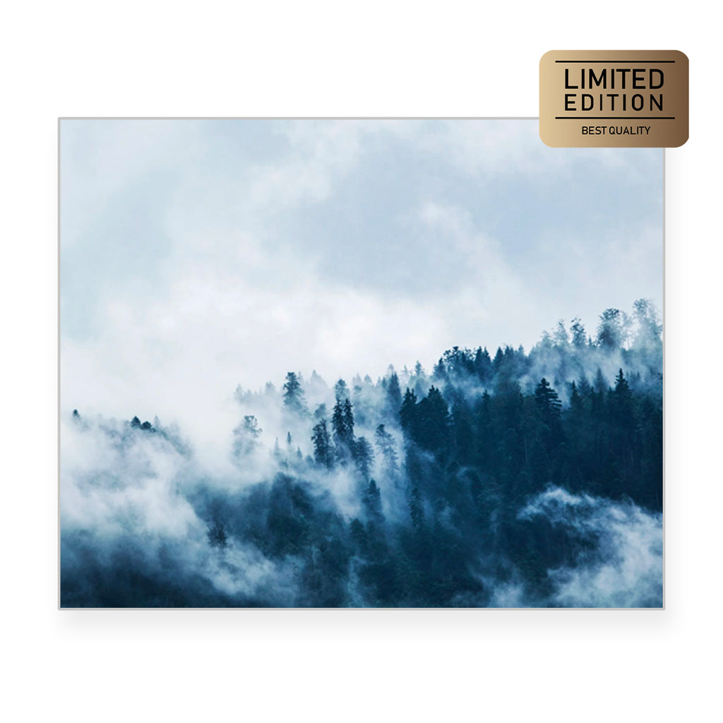 Skysill | Printed Canvas Art